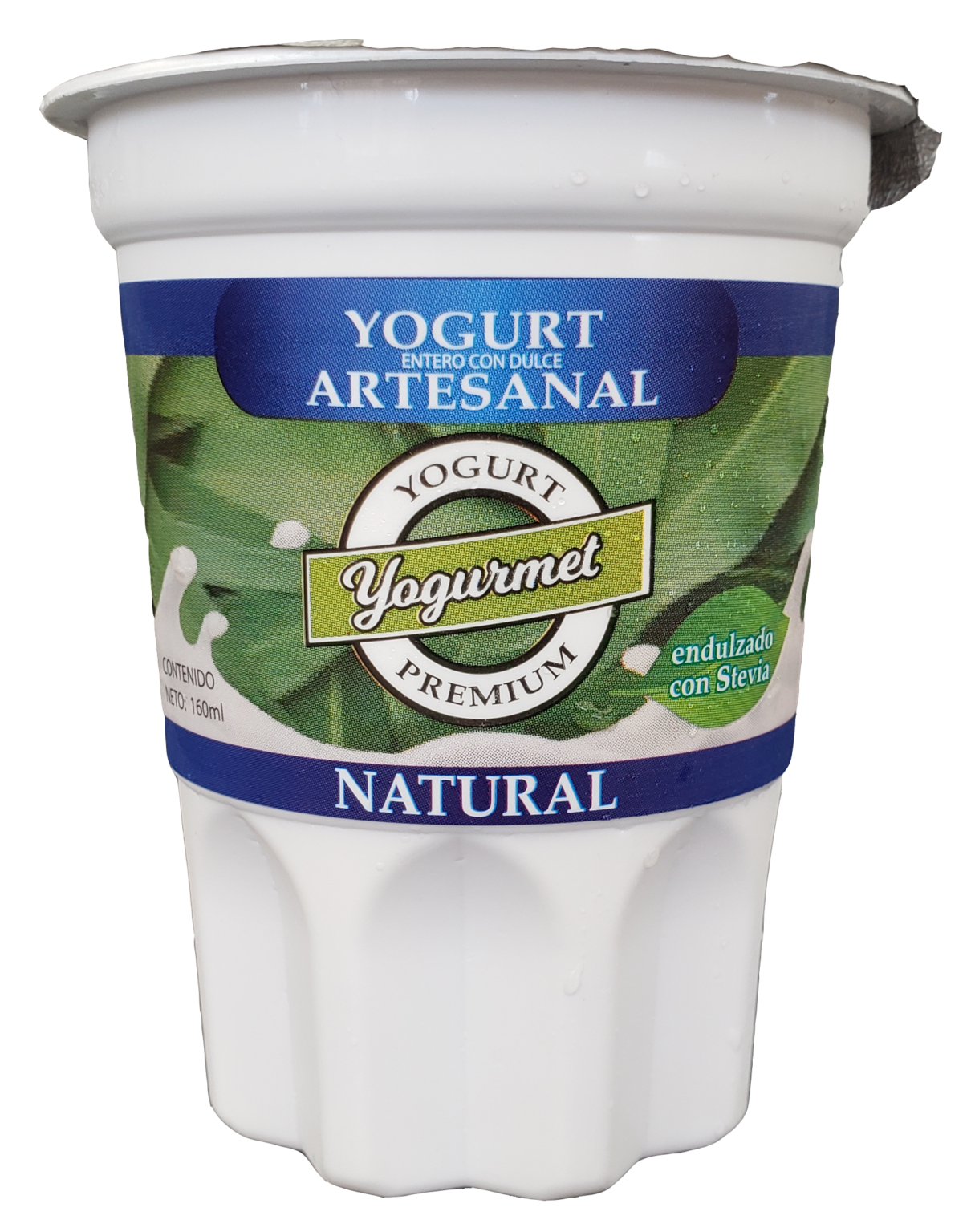 YOGURT NATURAL X 160 YOGURMET Saludable Tentación
